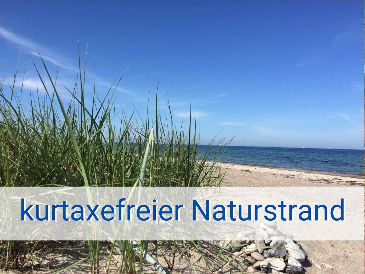 Strandliebe 100 Qm Gartenwohnung Neukirchen  Exteriör bild