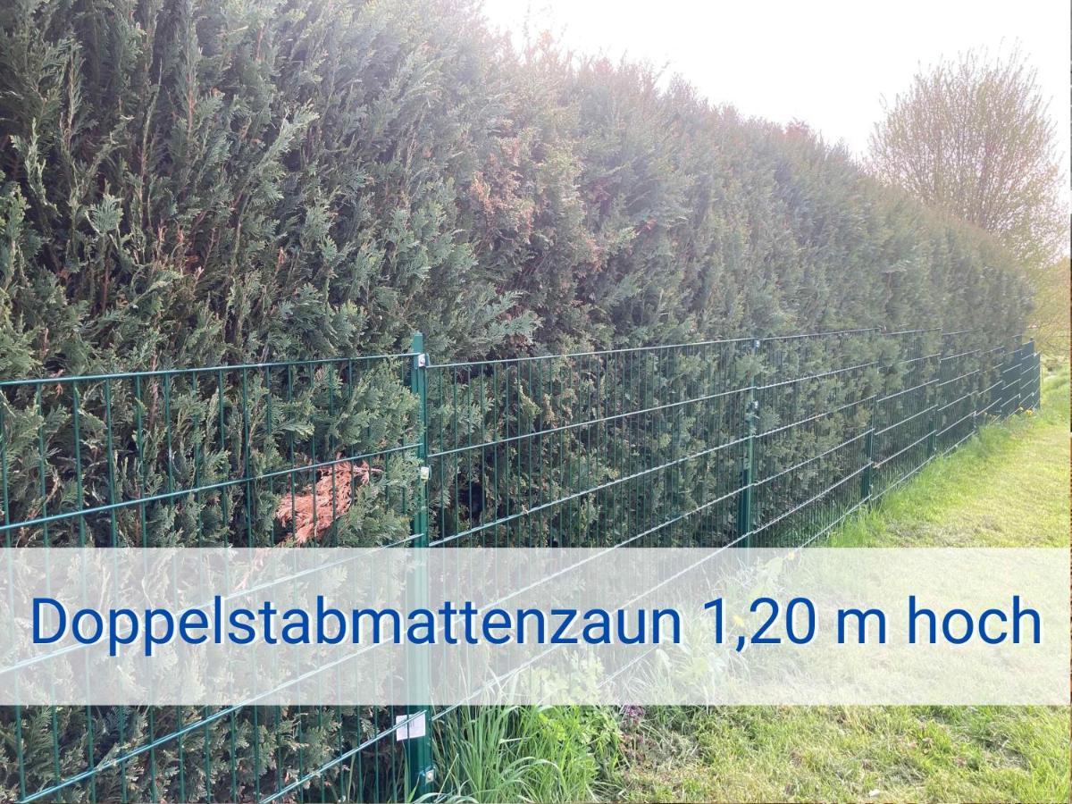 Strandliebe 100 Qm Gartenwohnung Neukirchen  Exteriör bild