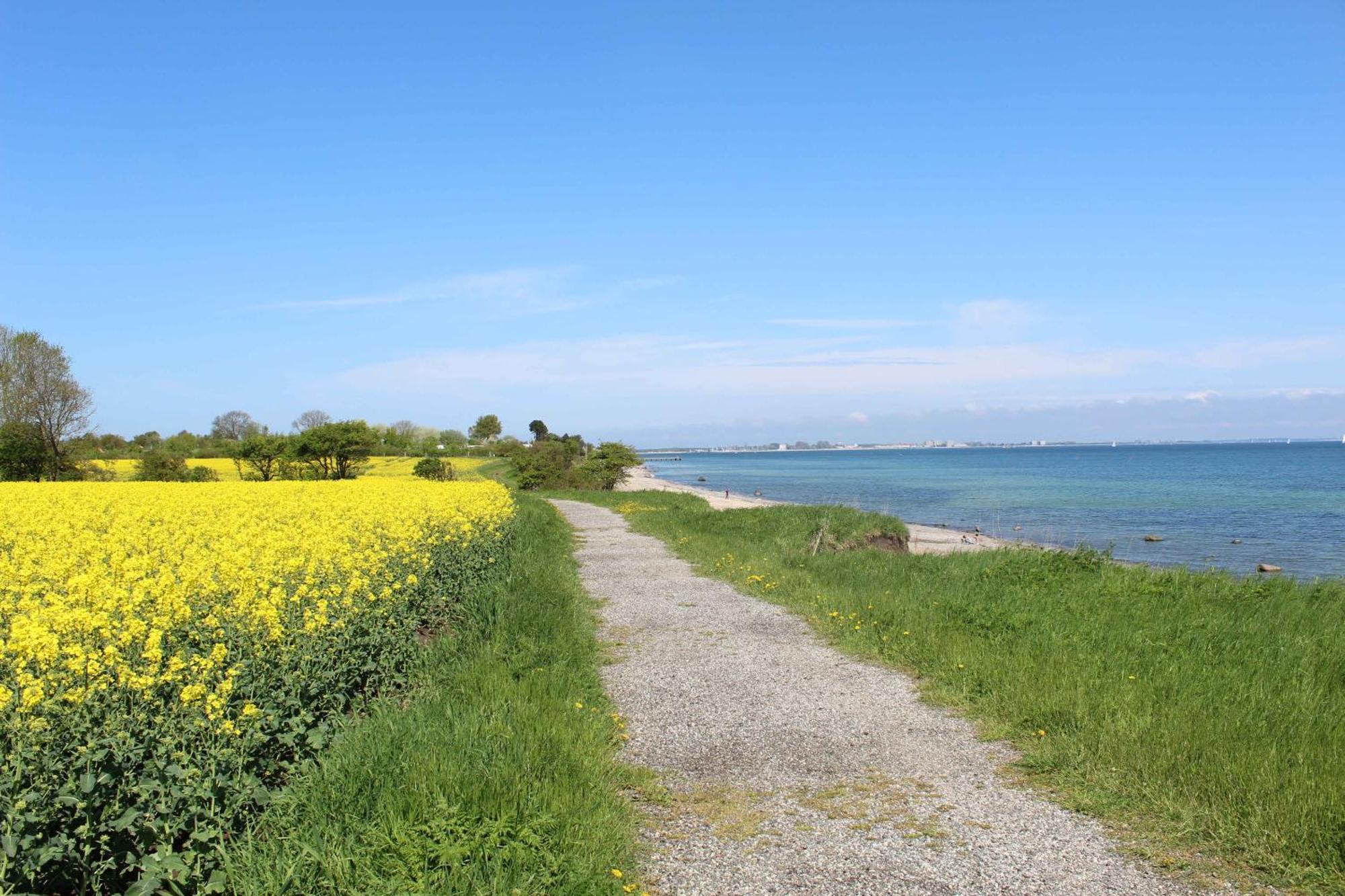 Strandliebe 100 Qm Gartenwohnung Neukirchen  Exteriör bild