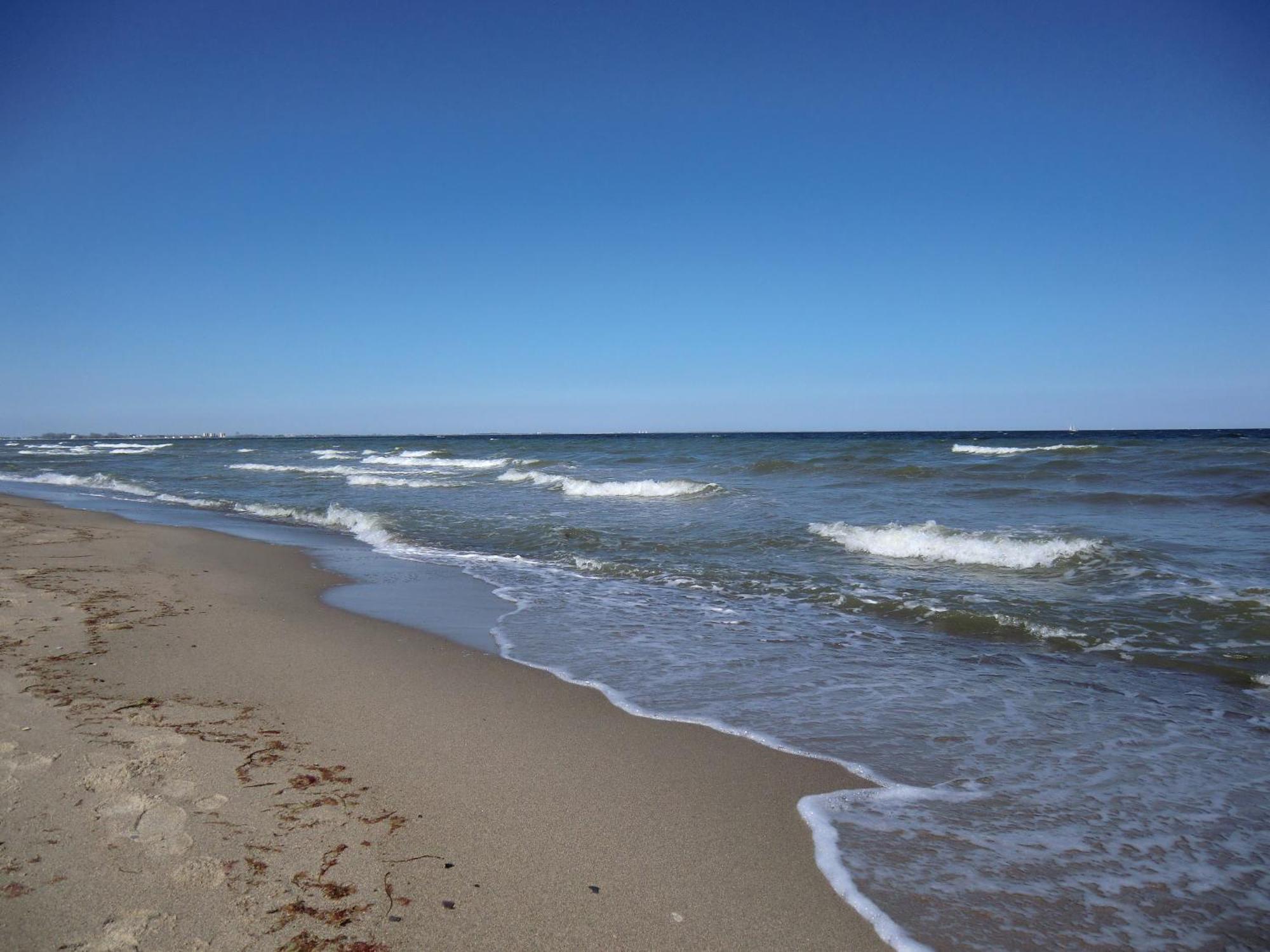 Strandliebe 100 Qm Gartenwohnung Neukirchen  Exteriör bild